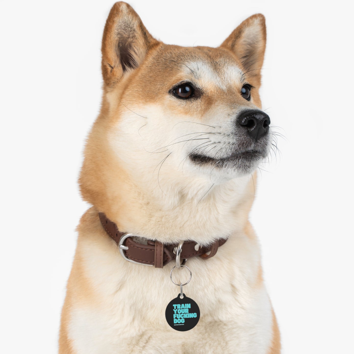 Train Your Fucking Dog - Explicit Collar Tag