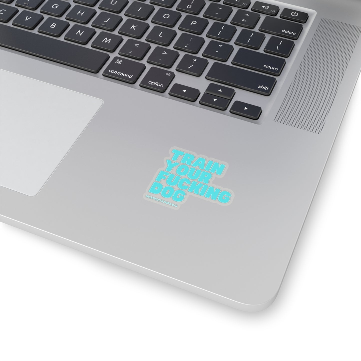 Train Your Fucking Dog Sticker - Explicit