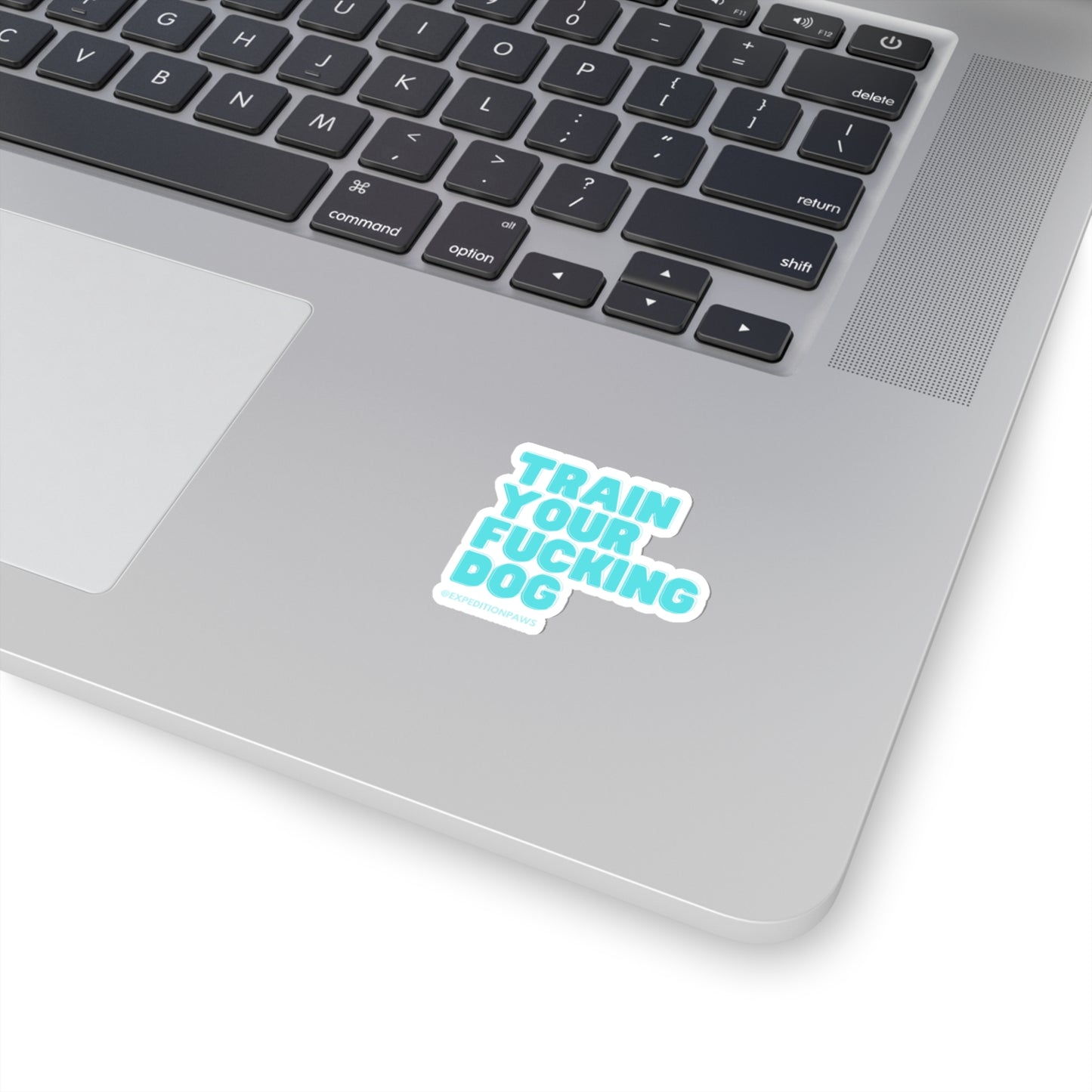 Train Your Fucking Dog Sticker - Explicit