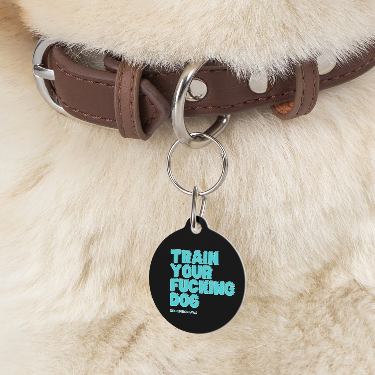 Train Your Fucking Dog - Explicit Collar Tag